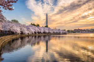 OMIC Exhibit > ASCRS 2018 in Washington DC from April 13 to 17, 2018 @ Walter E. Washington Convention Center | Washington | District of Columbia | United States